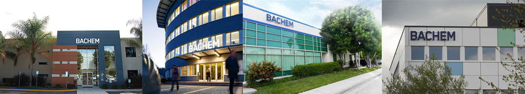ʿBachemĮa(chn)ƷЇһƽ