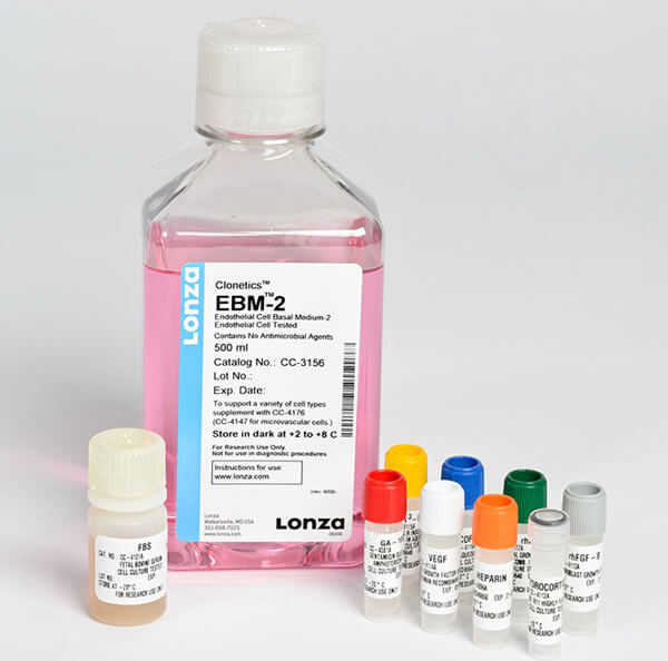 ԭĚo}ƤB Human Umbilical Vein Endothelial Cells MediumLONZAԭЇһ