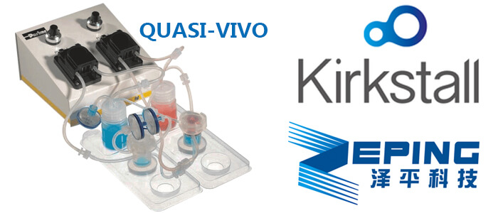 Quasi Vivo(dng)BϵyЇҴ
