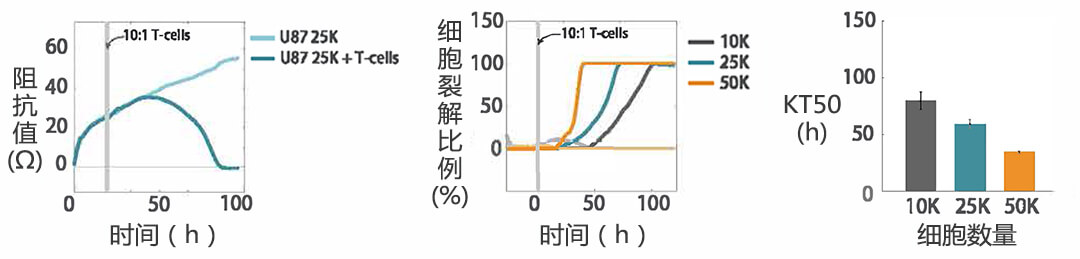 Maestro Z實(shí)時(shí)無(wú)標記細胞分析儀 授權代理商 北京澤平