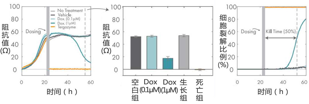 Maestro Z實(shí)時(shí)無(wú)標記細胞分析儀 授權代理商 北京澤平