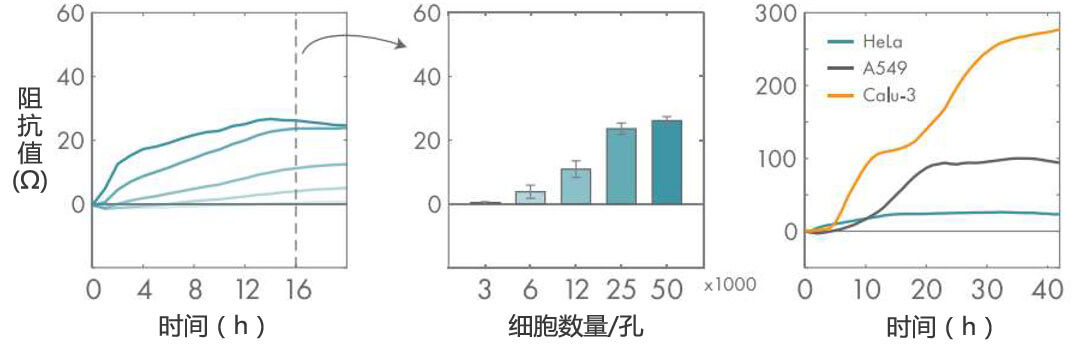 Maestro Z實(shí)時(shí)無(wú)標記細胞分析儀 授權代理商 北京澤平