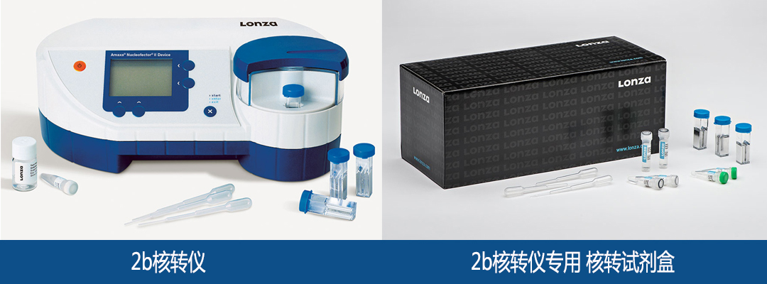 lonza Nucleofector 2bDȾϵy