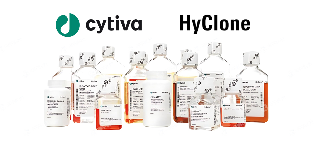 ¡Hyclone̥ţѪBһ̱ƽ