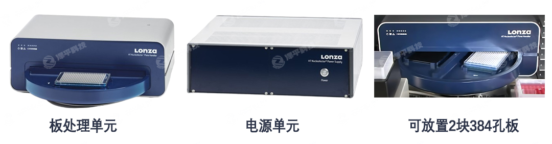 Lonza 384Dx ̱ƽ