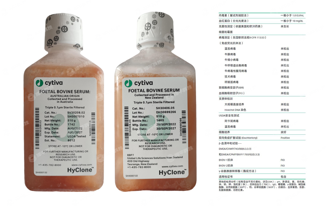 ¡Hyclone̥ţѪFBS ̱ƽ